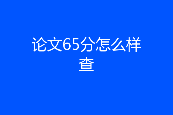 论文65分怎么样查