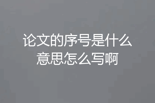论文的序号是什么意思怎么写啊