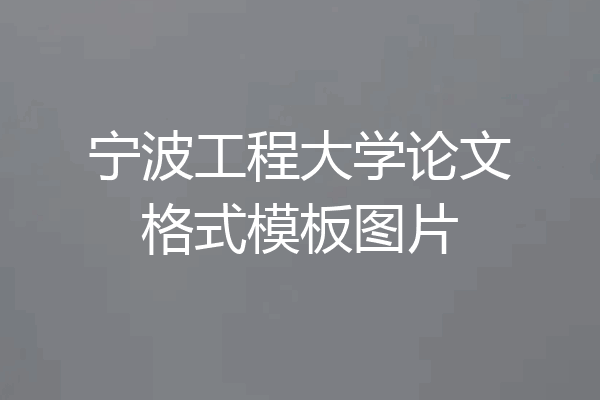 宁波工程大学论文格式模板图片