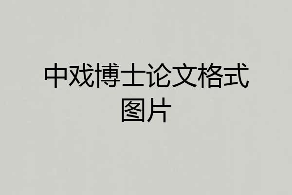 中戏博士论文格式图片