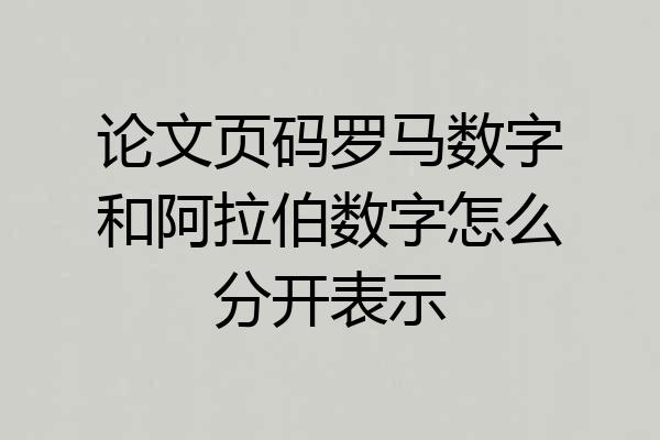 论文页码罗马数字和阿拉伯数字怎么分开表示