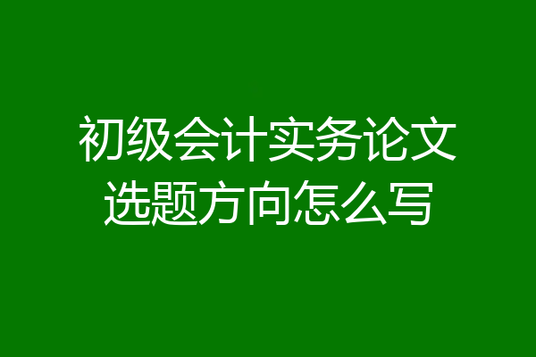 初级会计实务论文选题方向怎么写