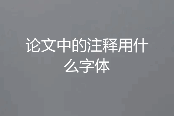 论文中的注释用什么字体