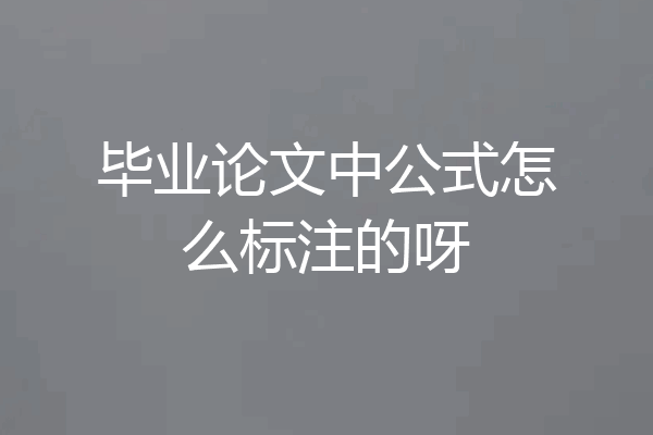 毕业论文中公式怎么标注的呀