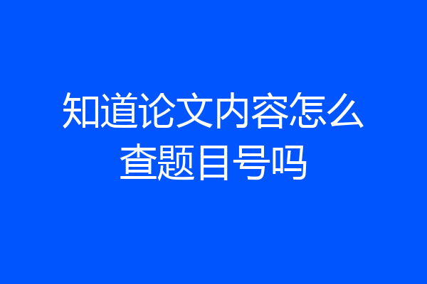 知道论文内容怎么查题目号吗