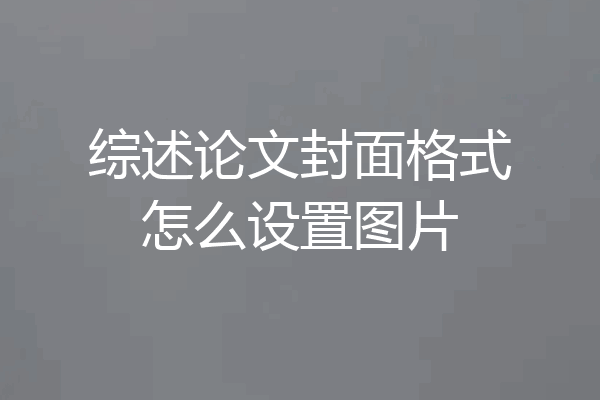 综述论文封面格式怎么设置图片