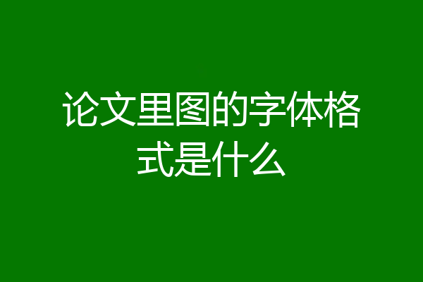 论文里图的字体格式是什么