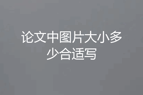 论文中图片大小多少合适写