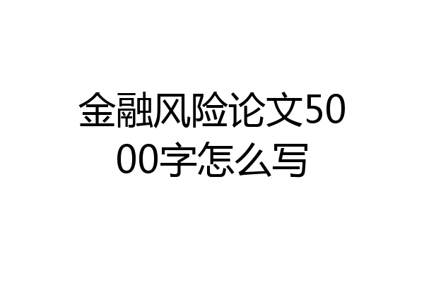 金融风险论文5000字怎么写