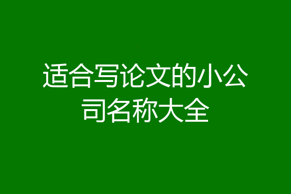 适合写论文的小公司名称大全