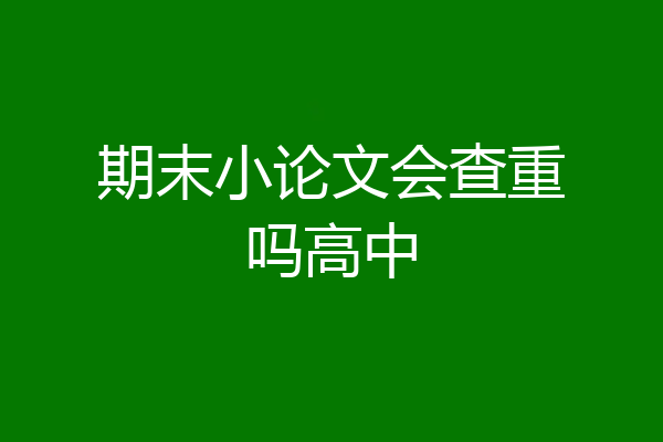 期末小论文会查重吗高中
