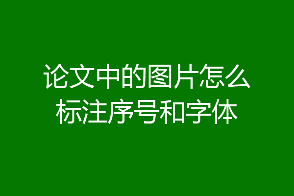 论文中的图片怎么标注序号和字体