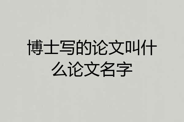 博士写的论文叫什么论文名字