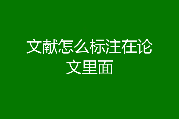 文献怎么标注在论文里面