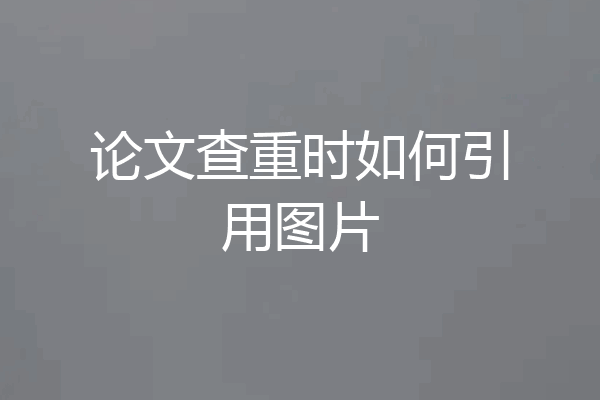 论文查重时如何引用图片