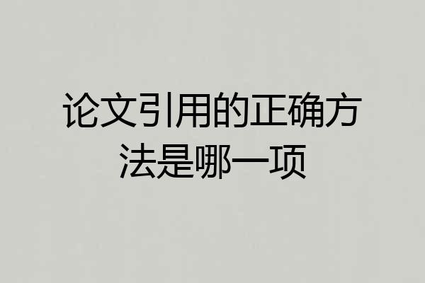 论文引用的正确方法是哪一项