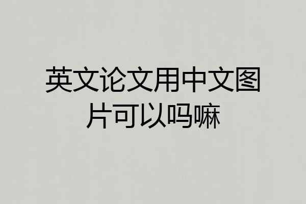 英文论文用中文图片可以吗嘛