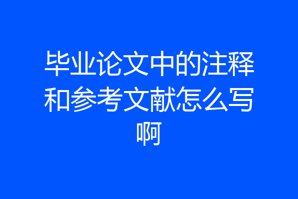 毕业论文中的注释和参考文献怎么写啊