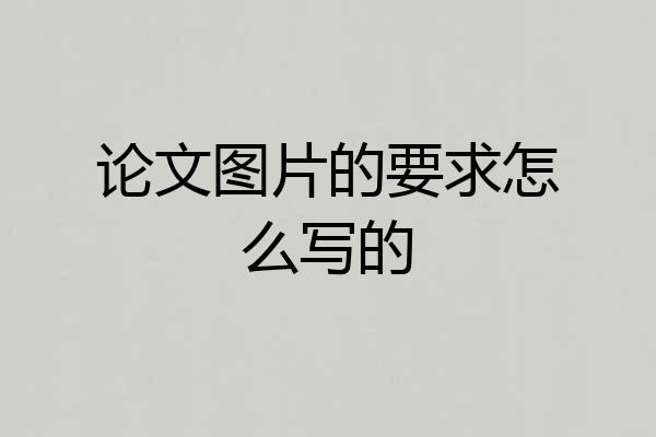 论文图片的要求怎么写的