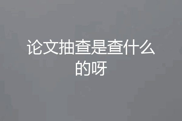 论文抽查是查什么的呀