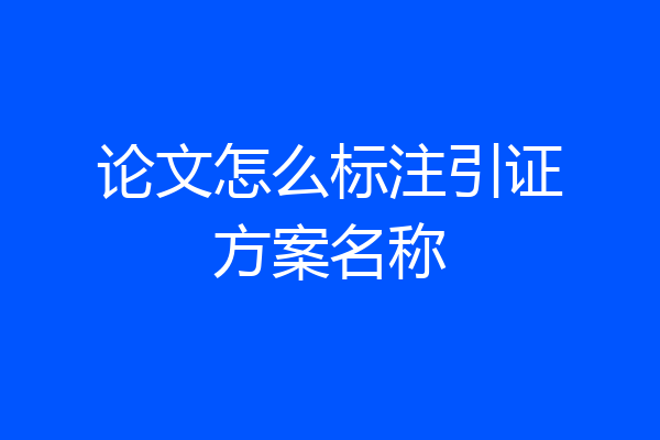 论文怎么标注引证方案名称