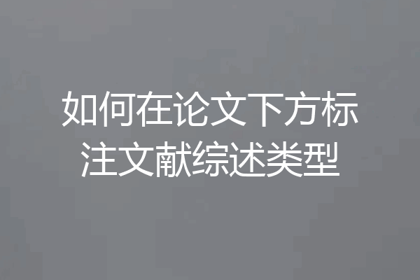 如何在论文下方标注文献综述类型