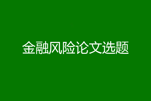 金融风险论文选题