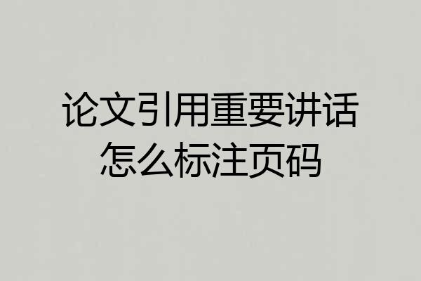 论文引用重要讲话怎么标注页码