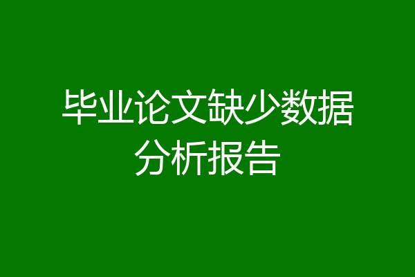 毕业论文缺少数据分析报告