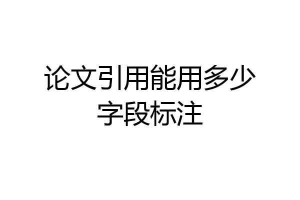 论文引用能用多少字段标注