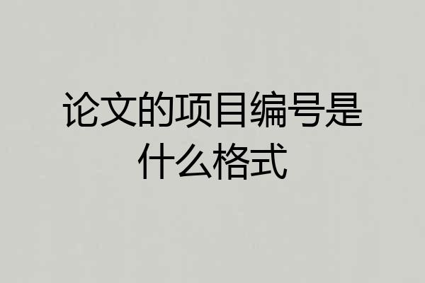 论文的项目编号是什么格式