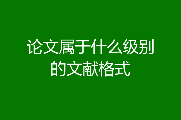 论文属于什么级别的文献格式