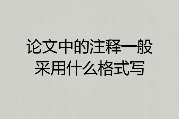 论文中的注释一般采用什么格式写