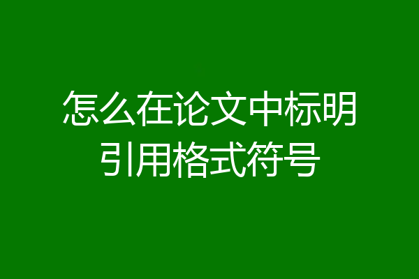 怎么在论文中标明引用格式符号