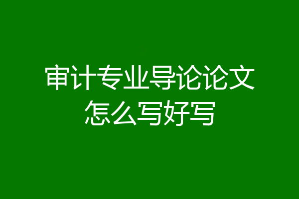 审计专业导论论文怎么写好写