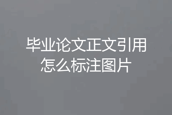 毕业论文正文引用怎么标注图片