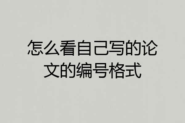 怎么看自己写的论文的编号格式