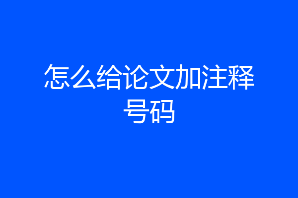 怎么给论文加注释号码