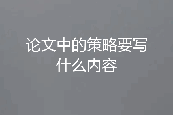 论文中的策略要写什么内容