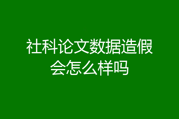 社科论文数据造假会怎么样吗