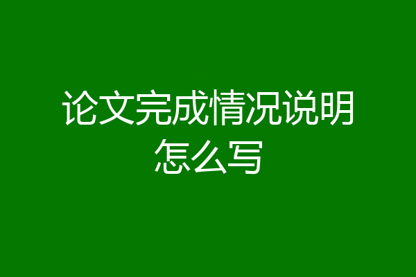 论文完成情况说明怎么写