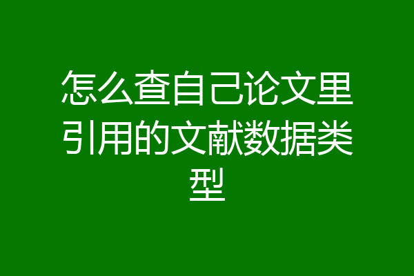 怎么查自己论文里引用的文献数据类型