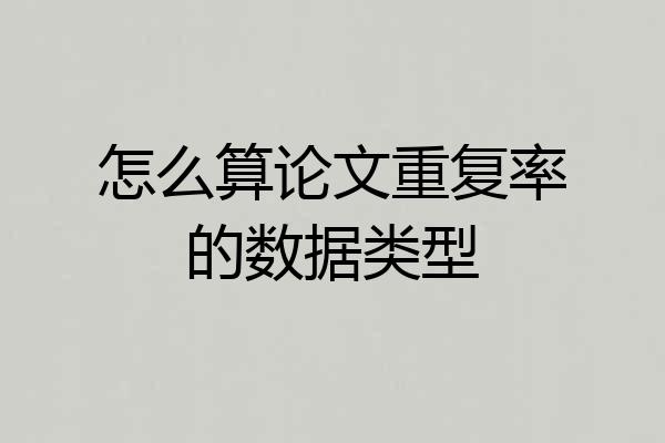 怎么算论文重复率的数据类型