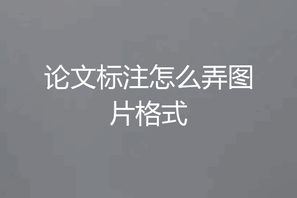 论文标注怎么弄图片格式