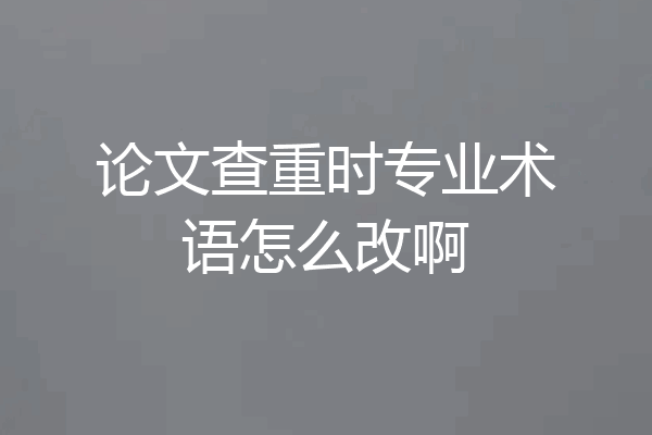论文查重时专业术语怎么改啊