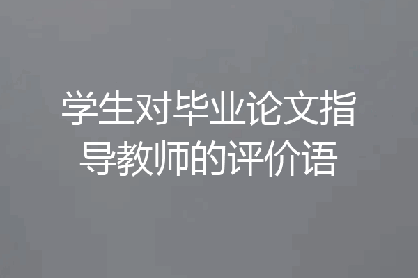 学生对毕业论文指导教师的评价语