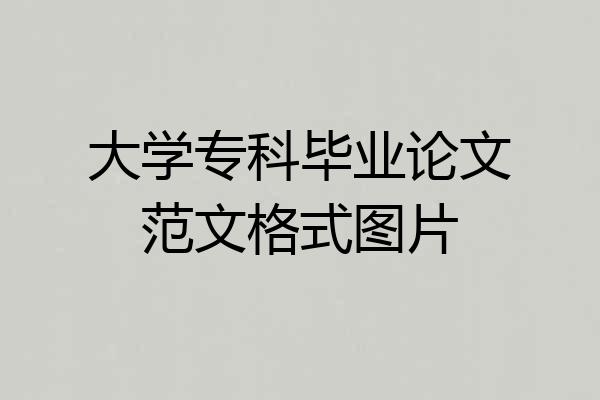 大学专科毕业论文范文格式图片