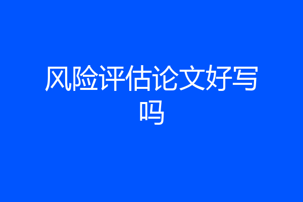 风险评估论文好写吗