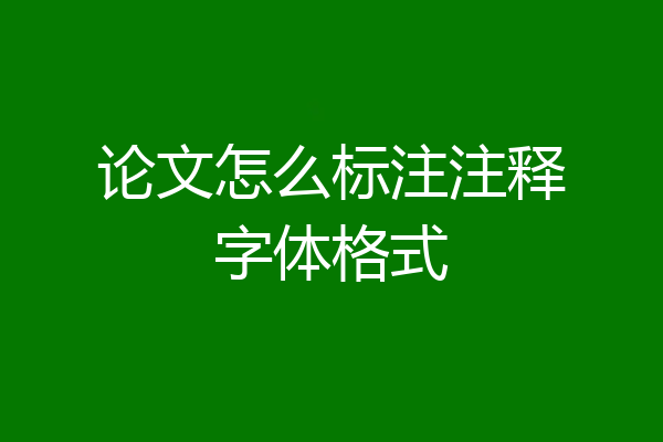 论文怎么标注注释字体格式