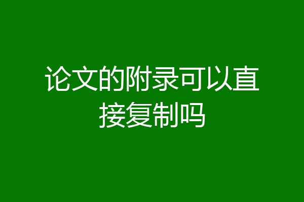 论文的附录可以直接复制吗